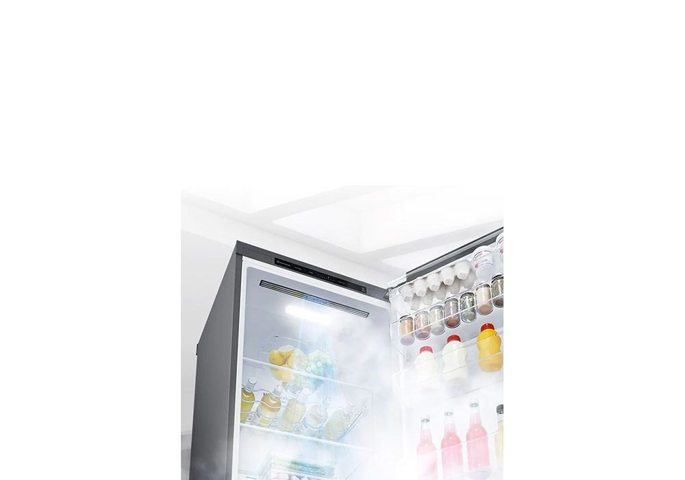 Réfrigérateur 1 Porte LG Premium (GLT71PZCSE) – Image 6