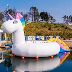 Structures gonflables personnalisées best-seller à vendre – Unicorn Slide